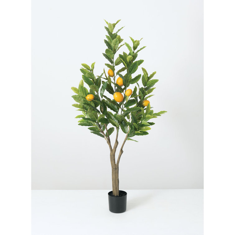Brayden Studio® 49'' Faux Lemon Tree in Pot Wayfair